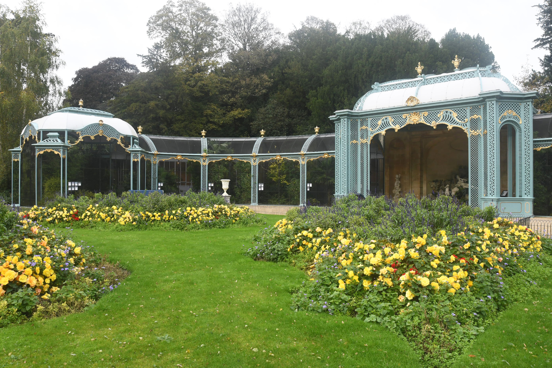 Conserving Fancy Pigeons